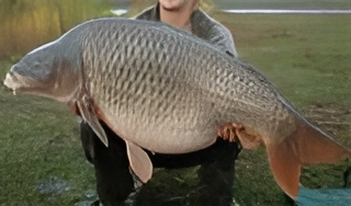 snapedit_1707114478331