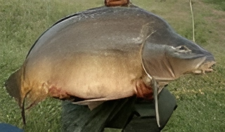 snapedit_1707114446998