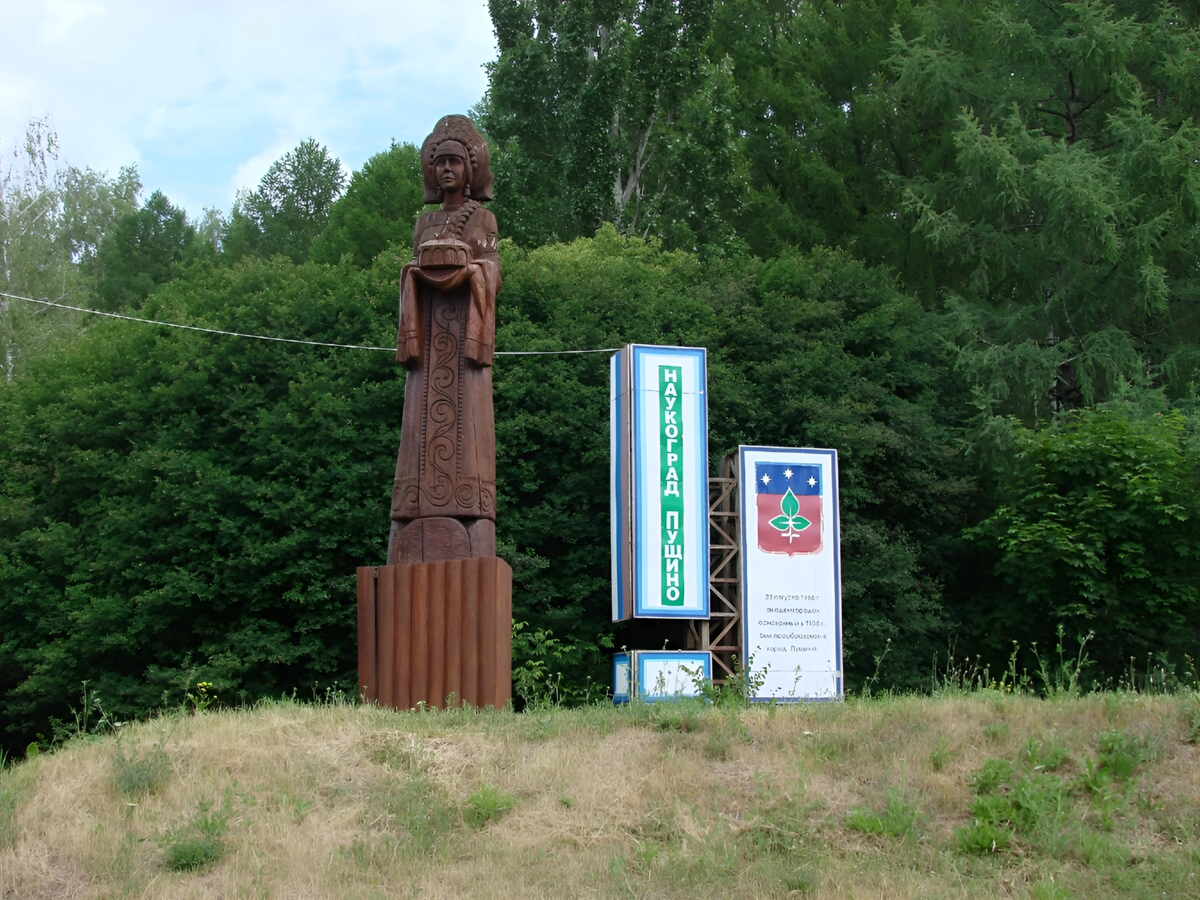 snapedit_1707129696803